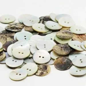 How to Choose the Perfect Shell Button for Your Apparel